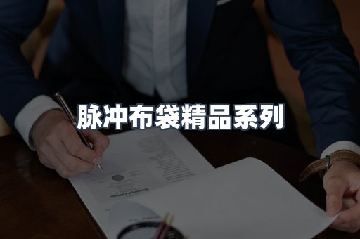 脉冲布袋精品系列